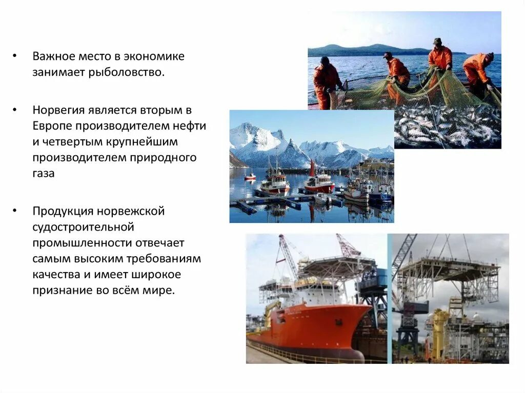 Страны севера европы. Страны скандинавии фенноскандия. Северная европа 7 класс география. Страны сеаерныйевропы. Природа северной европы кратко.