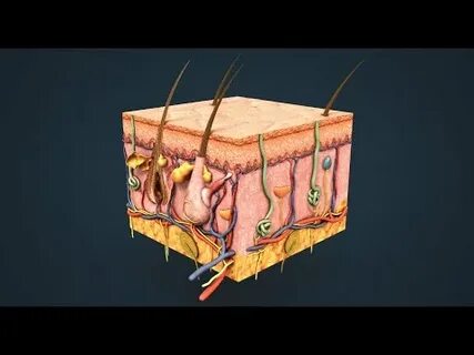 Порнодағы орыс жас әйелдері