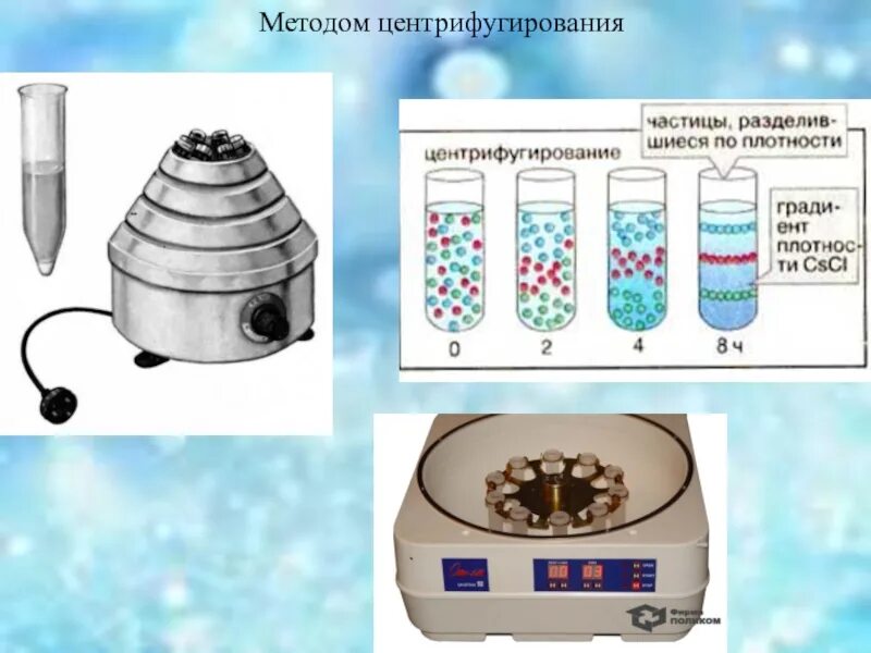 Разделение клетки под действием центробежной. Метод изучения клетки центрифугирование. Метод дифференциального центрифугирования. Центрифугирование крови фракции. Центрифугирование клеточных органелл.