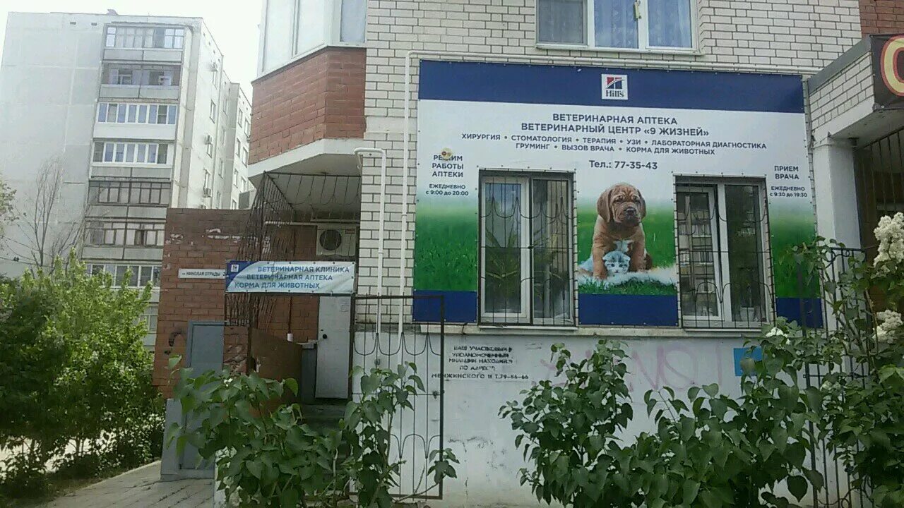Ветклиника богомольца. Гагарина спб 42 ветклиника. Ветклиника батайск 1. Ветклиника богомольца. Ветклиника богомольца.