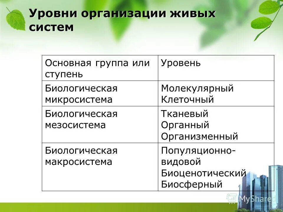 Уровни организации живого биоценотический. Уровни организации живых систем биология. Микросистема биология. Органный уровень организации биологическая система. Живая система организации.