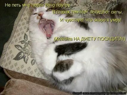 Песня потемнела на дворе скоро будет ночка