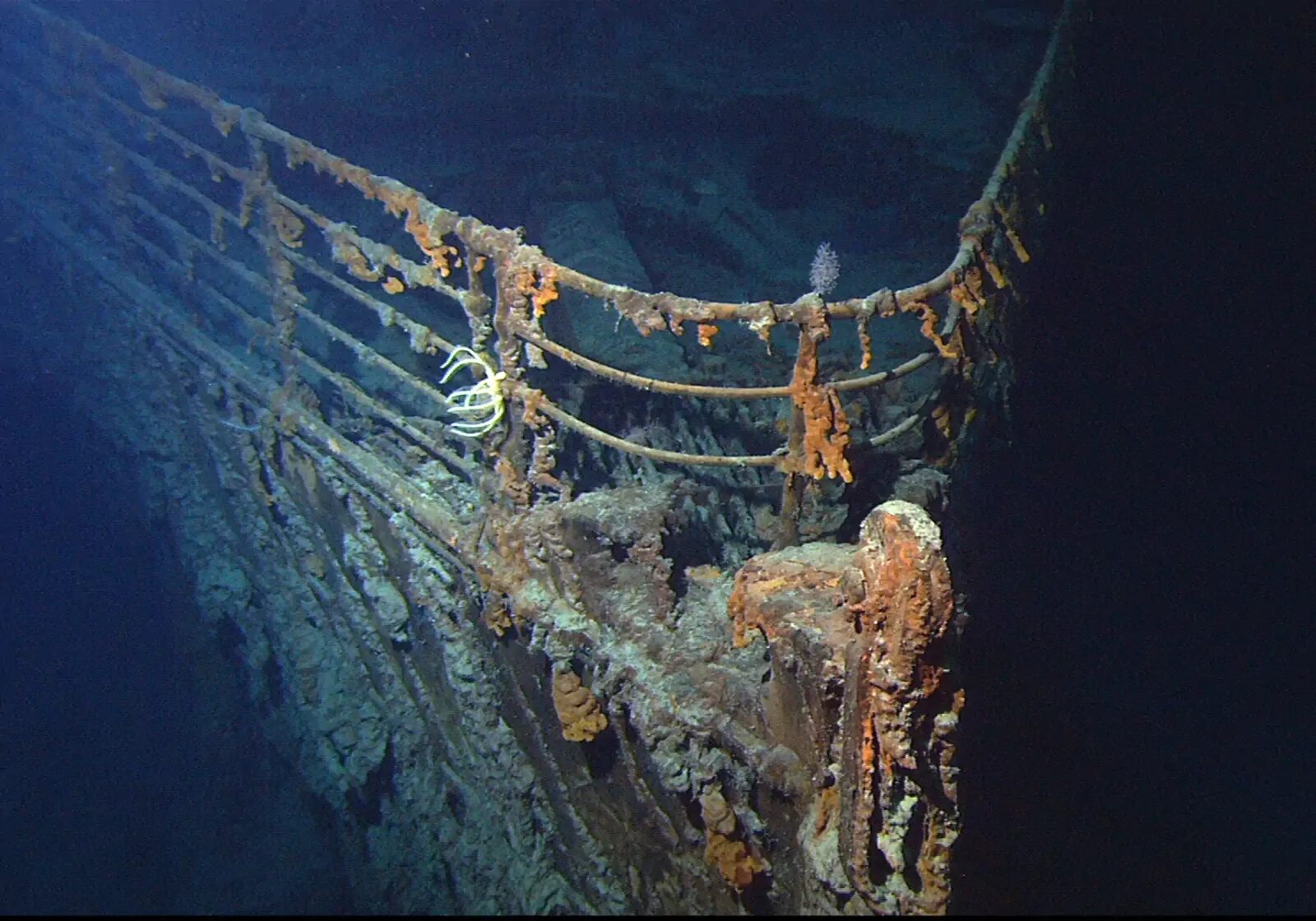 Титаник под водой сейчас 2022. Затонувшие корабли Титаник. Затонувший Титаник 2022. Титаник затонувший 2021.