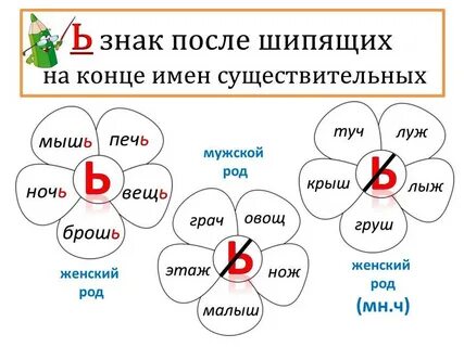 Мягкий 6 русский язык