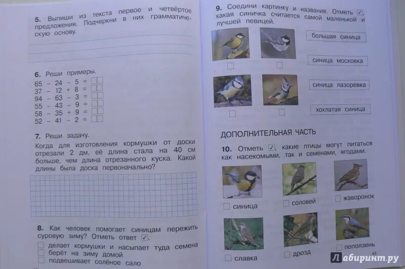 Комплексная работа пингвины ответы. Итоговые комплексные работы. Диагностическая кл комплексная работа. Комплексная работа 1 класс Узорова. Комплексная работа 2 класс.