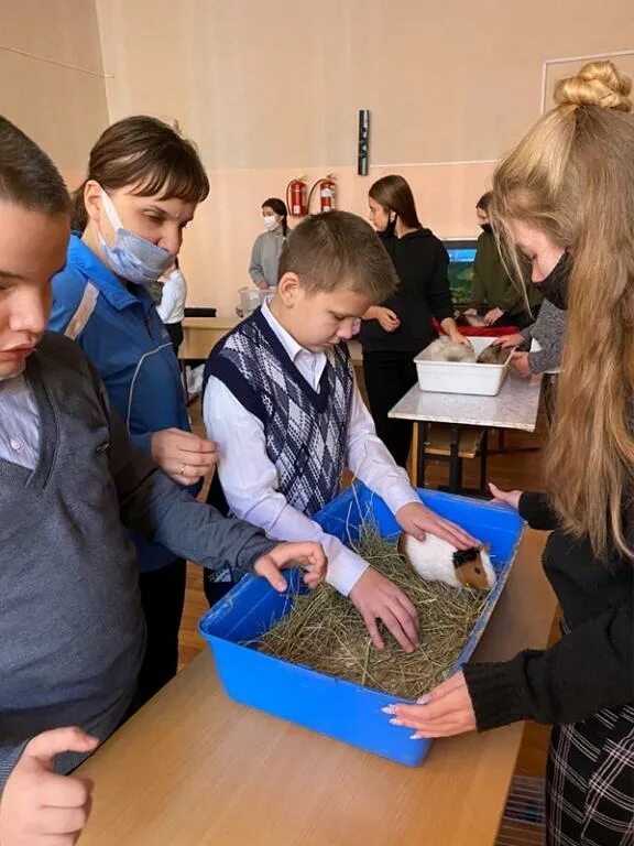 Интернат животных. Интернат 28 новочеркасск. эколого-биологический центр новочеркасск. школа интернат 33 новочеркасск. зооуголок в новочеркасске.
