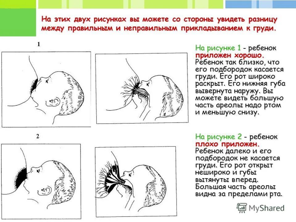 Правильное прикладывание к груди. Правильное прикладованиекгруди. Правильное и неправильное прикладывание. Правильное прикладывание к груди схема.