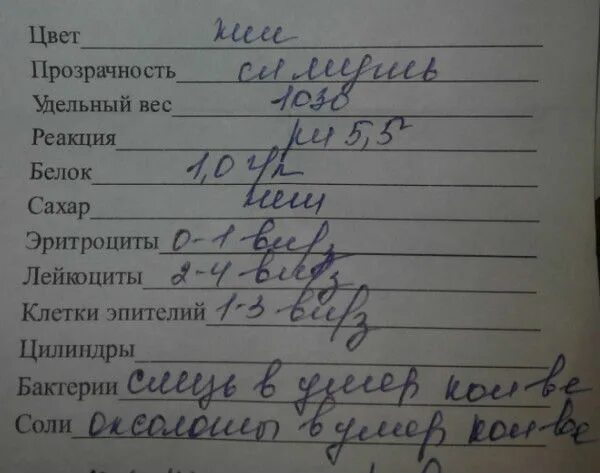 Как собирать мочу на белок. Общий анализ мочи белок. суточный анализ мочи. белок в моче исследование. суточный белок в моче направление.