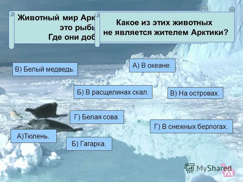 характеристика арктических пустынь тундры и лесотундры. природные зоны россии тест. зона арктики 4 класс окружающий мир. природная зона арктических пустынь. природные зоны россии тундра таблица.