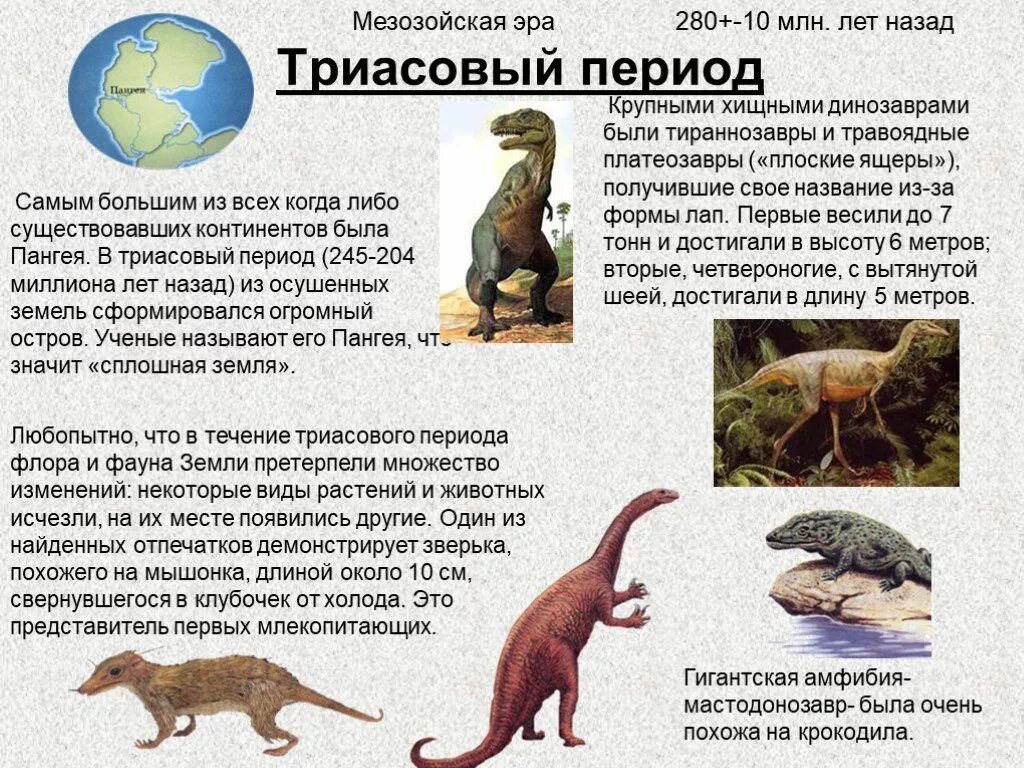 Триасовый период мезозойской эры животные. Триас растения и животные. Представители Флоры и фауны Триасового периода. Триасовый период мезозойской эры динозавры.