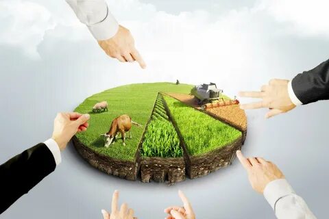 Фирма продающая земельные участки