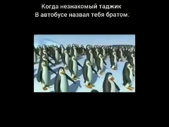 Нас никто никогда не сломает мы таджики. Нас никогда никто не сломает мы таджики.