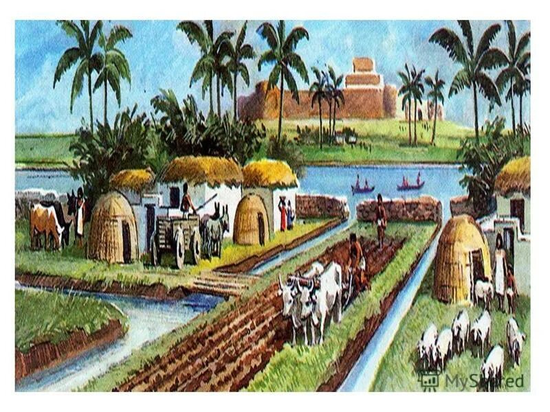 ирригационная система древнего египта. древняя месопотамия борис деревенский. ирригационная система древнего египта. шумеры земледелие. шумеры междуречье ирригация.