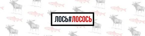 Лось лосось