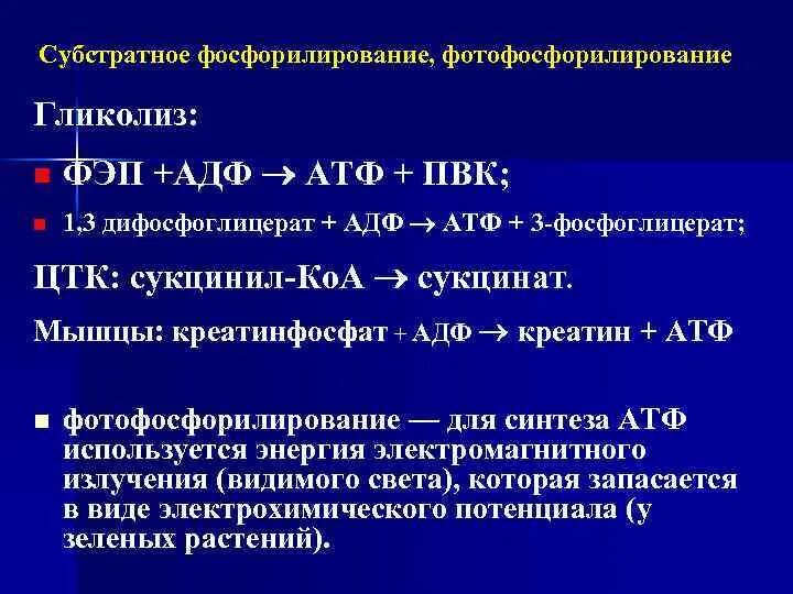 Реакция образования атф