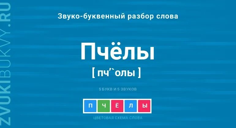 Анализ слова пчелы