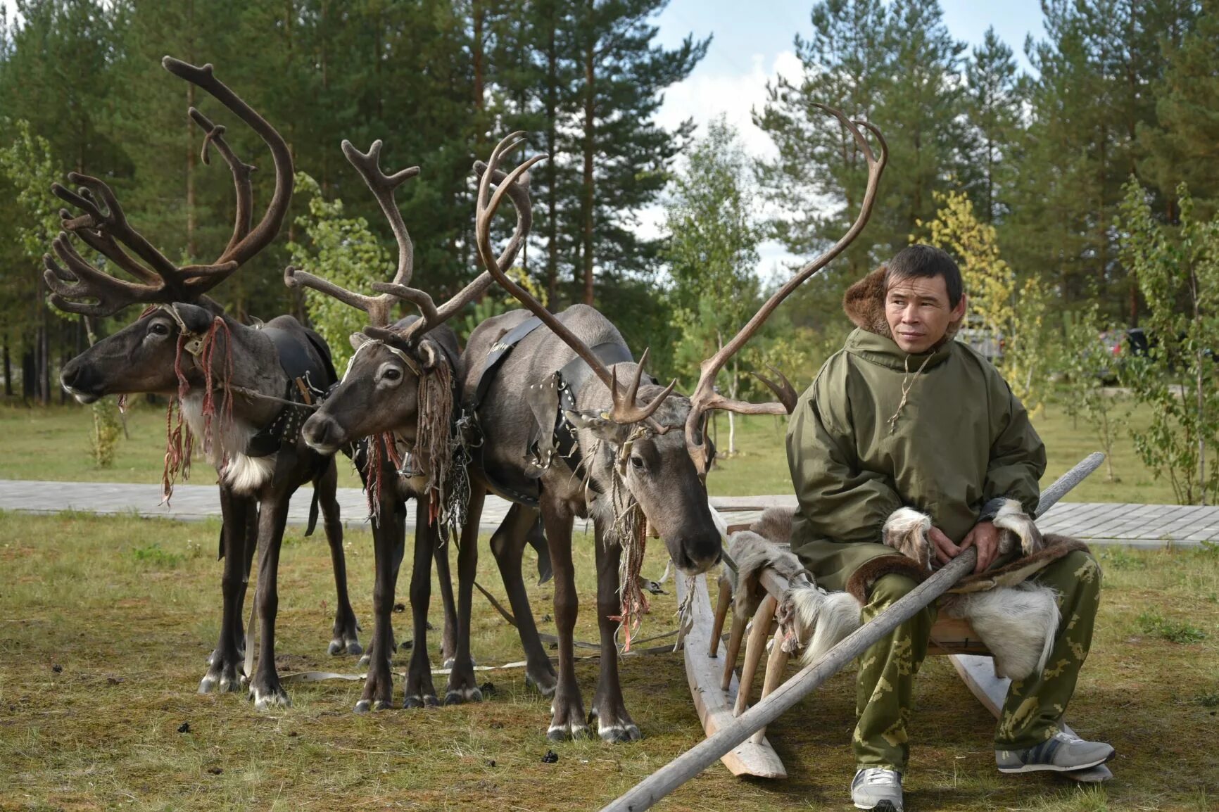 Ханты занятия. Ханты манси оленеводы рыболовство. Манси в сибири. Коренные народы севера ханты и манси. Ханты и манси в тайге.