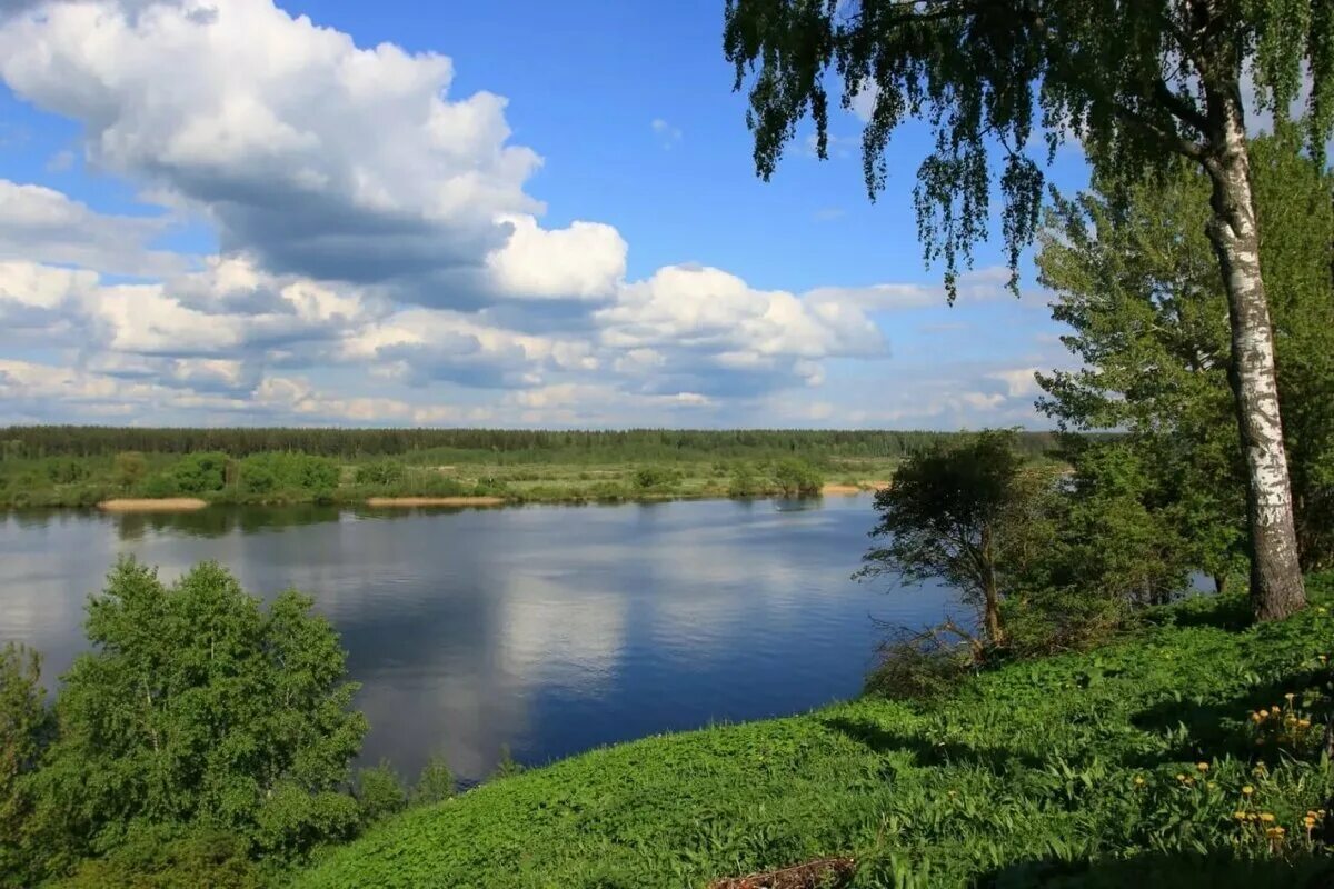 Волга река. Река Волга Поволжье. Река Волга Тверская область. Природа Поволжья река Волга. Природа реки волга