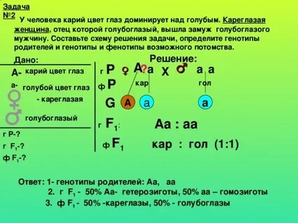 В семье родился голубоглазый ребенок