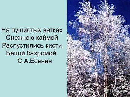 Значение слов кисти кайма бахрома