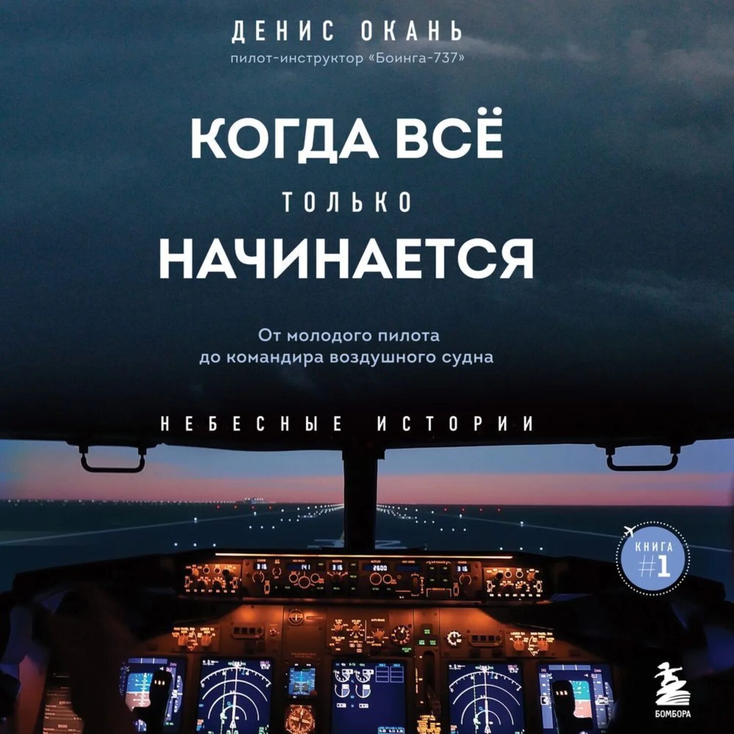 Книги дениса оканя. Небесные истории дениса оканя. Книга про пилота. Книги дениса оканя. Небесные истории дениса оканя.