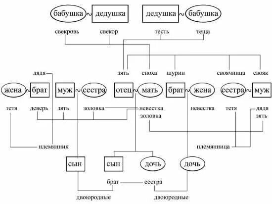 Близкие родственники таблица. Древо семьи кто кем приходится. Семейное Древо с названиями родственников. Дерево родственных отношений схема. Родственные связи схема генеалогия.