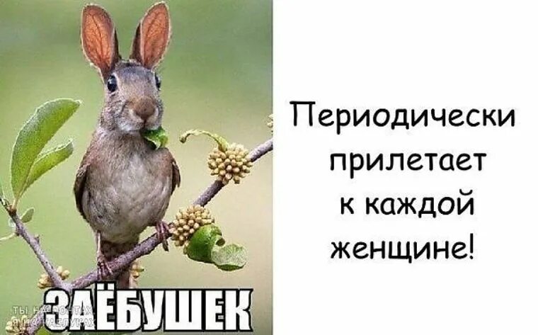 Заебушек картинка. Прилетает ответка. Мемы ответы. Как послать в картинках. Прилетает ответка.