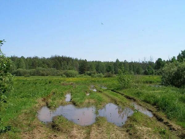 Бакшеево московская область