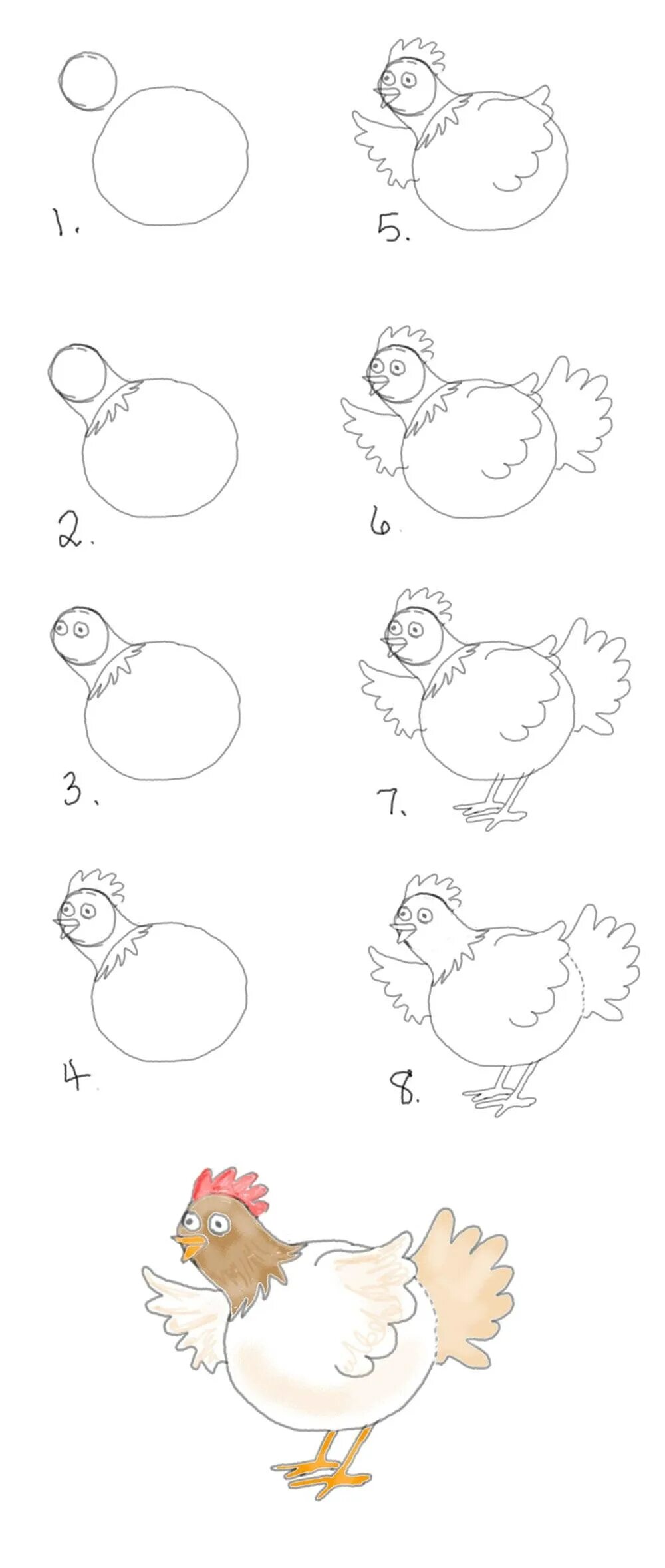 Курица нарисовать легко. Поэтапное рисование курицы. Курица рисунок пошагово. Поэтапное рисование курицы для детей. Схема рисования курица для детей.