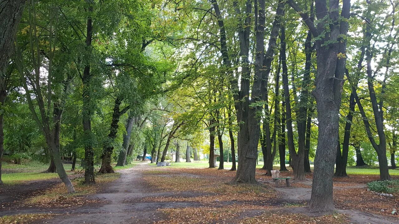 железная дорога парк горького. жд йошкар ола зимний. железная дорога парк. остановочный пункт деповская. сортировочная станция ржд.