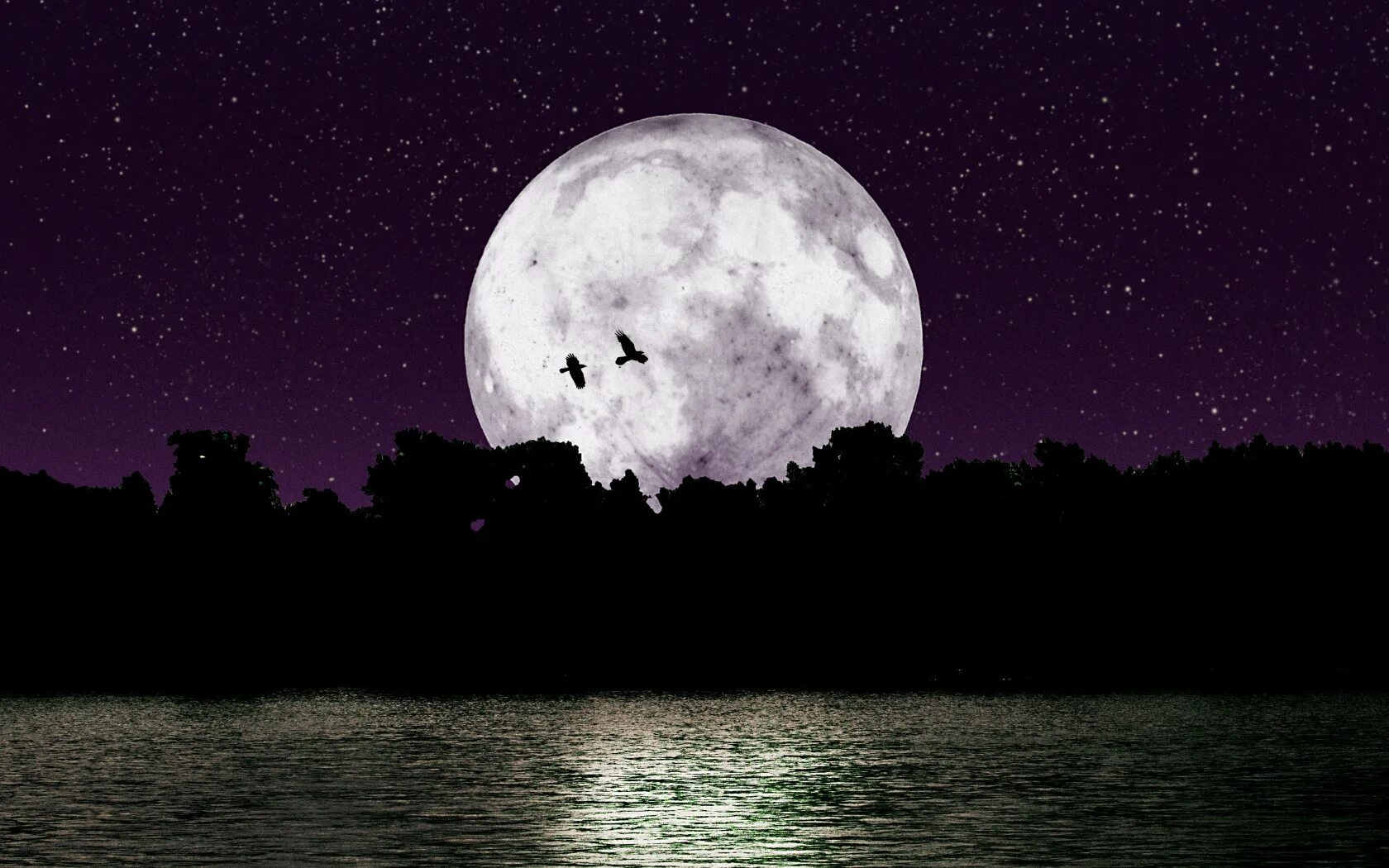 Lonely moon. Луна. Большая Луна. Красивая Луна. Лунная ночь.