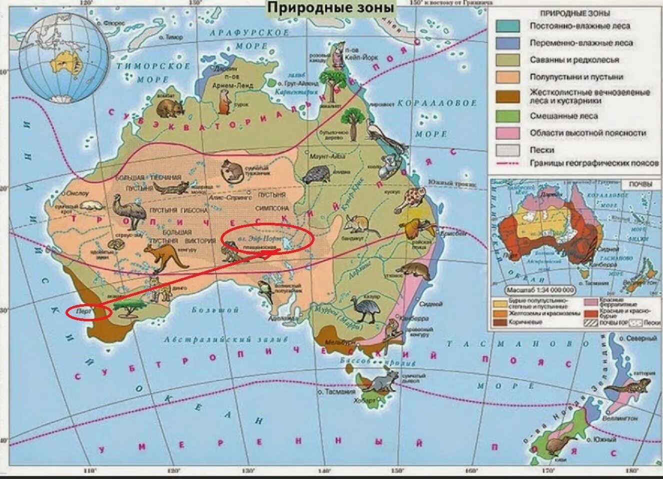 Карта природных зон Австралии 7 класс. Климатическая карта Австралии и Океании. Карта климатических зон Австралии. Природные зоны материка Австралия. Особенности природных комплексов австралии