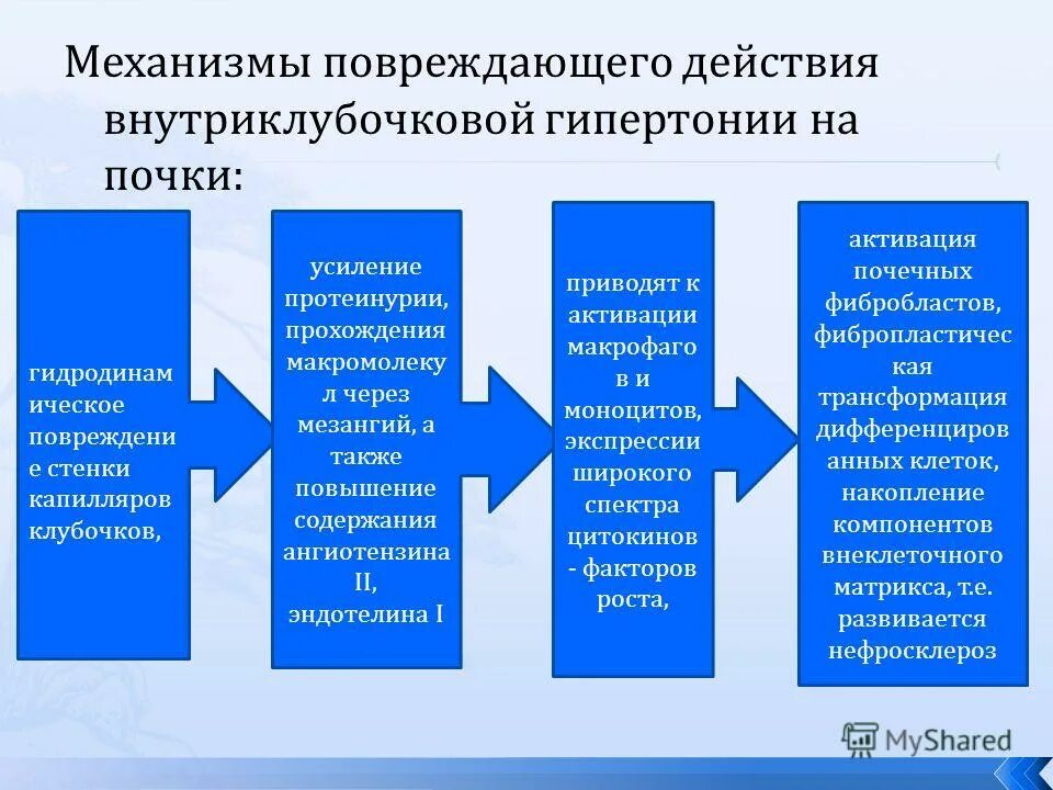 препараты снижающие внутриклубочковую гипертензию