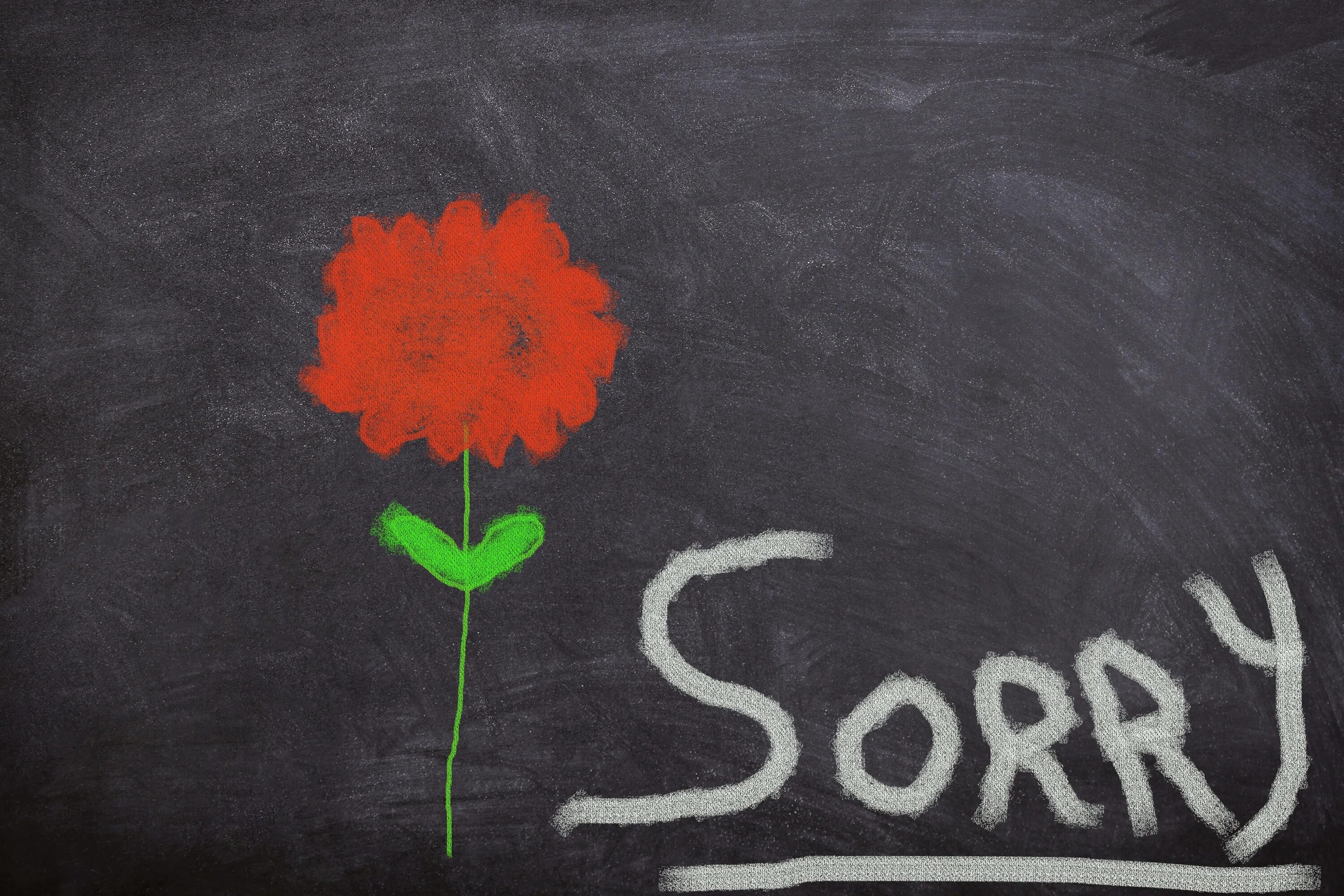 I said sorry. Цветы с извинениями. Цветы в качестве извинения. Извинение рисунок. Цветы с извинениями картинки.