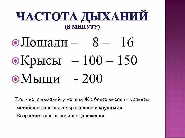 Частота выдохов в минуту. Частота дыхания у крыс. ЧДД У крысы в норме. Частота сердечных сокращений у крысы. Частота дыхания у крыс в норме.