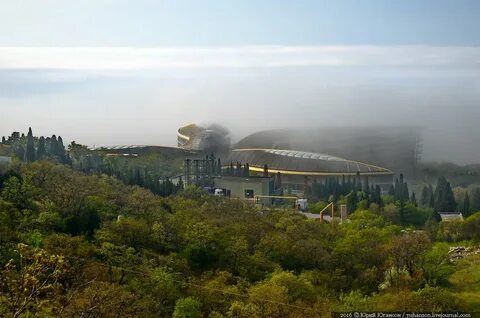 Форум ялта