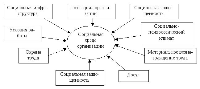 Социальная организация ее развитие. Факторы социального развития организации. Структура социальной среды. Структура социальной среды организации. Факторы, формирующие социальную среду организации.