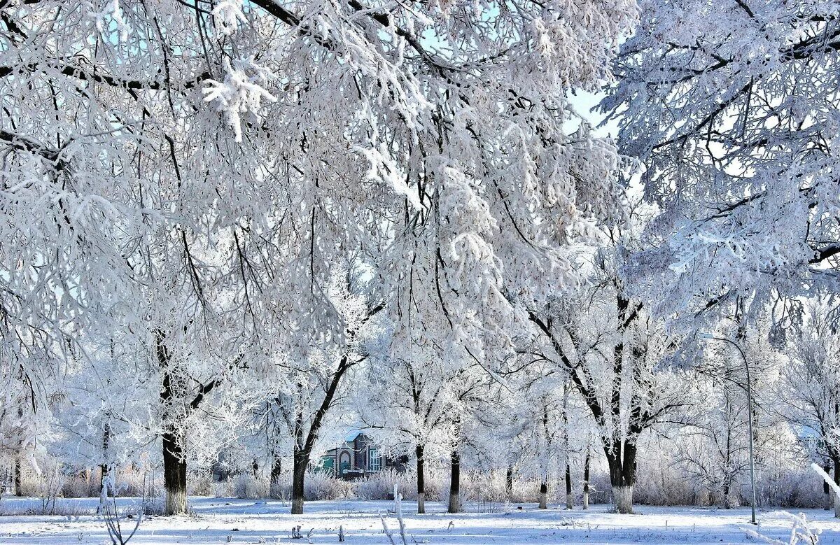 зима одела землю снегом. зима надела землю снегом. пушистый снег предложение. стихи про зиму. белый снег пушистый в воздухе.