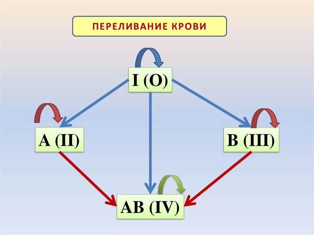 Какую группу крови можно переливать 2. Схема переливания групп крови. Схема переливания крови 8 класс биология. Группы крови переливание. Группа крови переливание крови 8 класс.