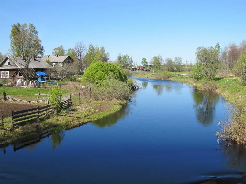 Большая вишера новгородской области. Река большая Вишера Новгородская. Река малая Вишера Новгородская область. Вишера деревня Новгородская область.