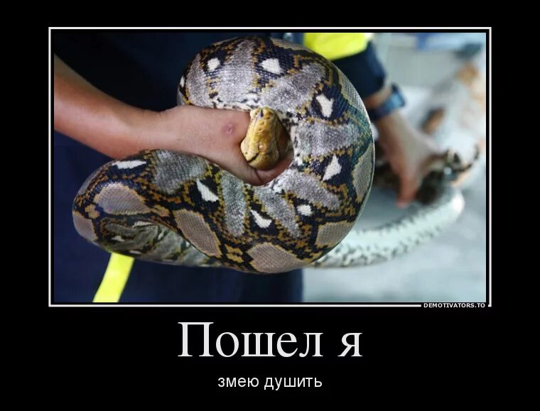 душить змею