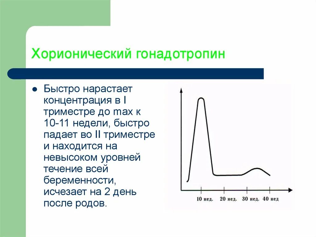 Определение хорионического гонадотропина. Хориони́ческий гонадотропи́н. Хорионический гонадотропин физиология. Механизм действия хорионического гонадотропина.