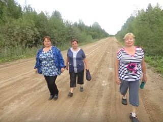 Река кичменьга вологодская область. Заборье. Усть-очея. Погода сойга ленский архангельской. Сойга архангельская область.