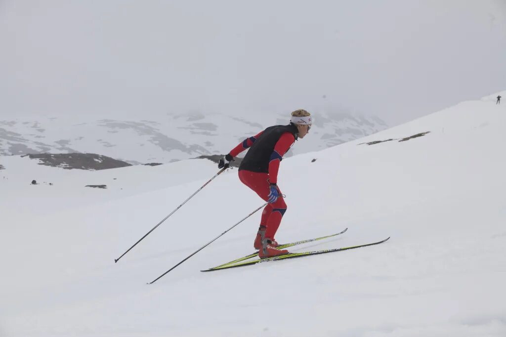 Правильный лыжник. Коньковый ход на лыжах. На лыжах коньковым ходом. Коньковый стиль на лыжах. Коньковый стиль лыжи техника.