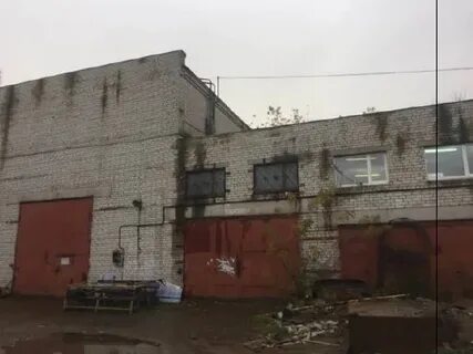 Сц тарный