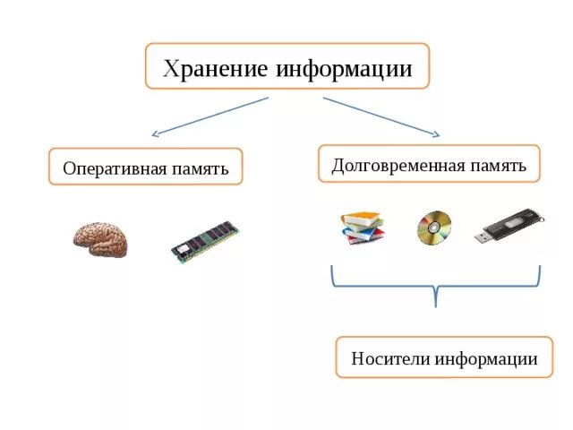 Оперативные сообщения информация это. Оперативная и долговременная память. Хранение информации Оперативная и долговременная память. Хранение информации в оперативной памяти. Долговременная память это ОЗУ.