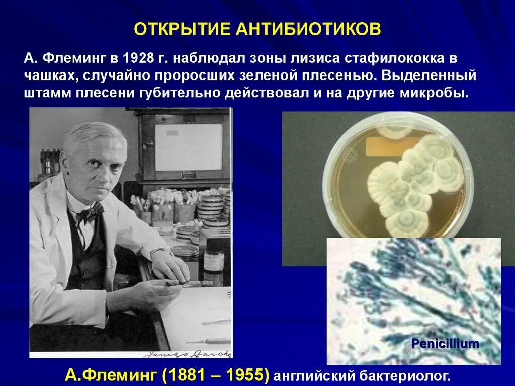 Важность пенициллина. Антибиотики пенициллин Флеминг. Флеминг пенициллин открытие. Флеминг микробиология открытия.