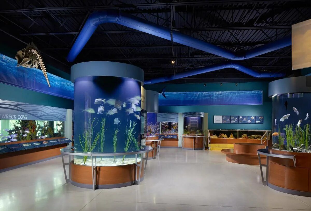 Аквариум Рипли Торонто. Marienland» — музей-океанариум Флорида. Афимолл аквариум. Аквариум в Афимолл Сити.