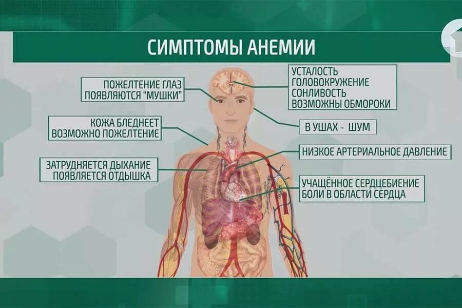 Можно ли при пониженном