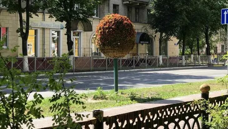 Брянск володарский суд сайт. Улицы Райнл Брянск лето Володарский район. Красивые улицы Брянска Володарка. Володарка Брянск.